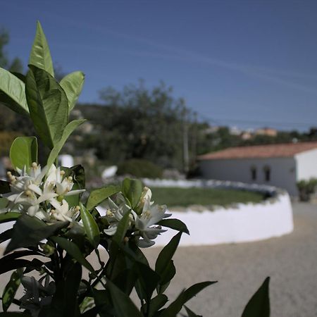 Suite Swimming Pool Quinta Da Eira 140 Years Old 롤레 외부 사진